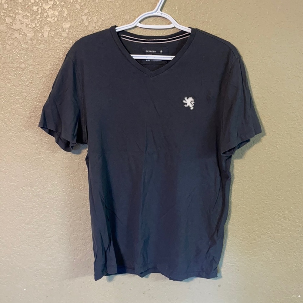 Express Jersey V Neck  t shirt